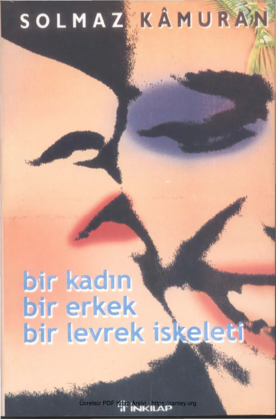 Bir Kadın Bir Erkek Bir Levrek İskeleti İnkılap Yayınları kapak görseli