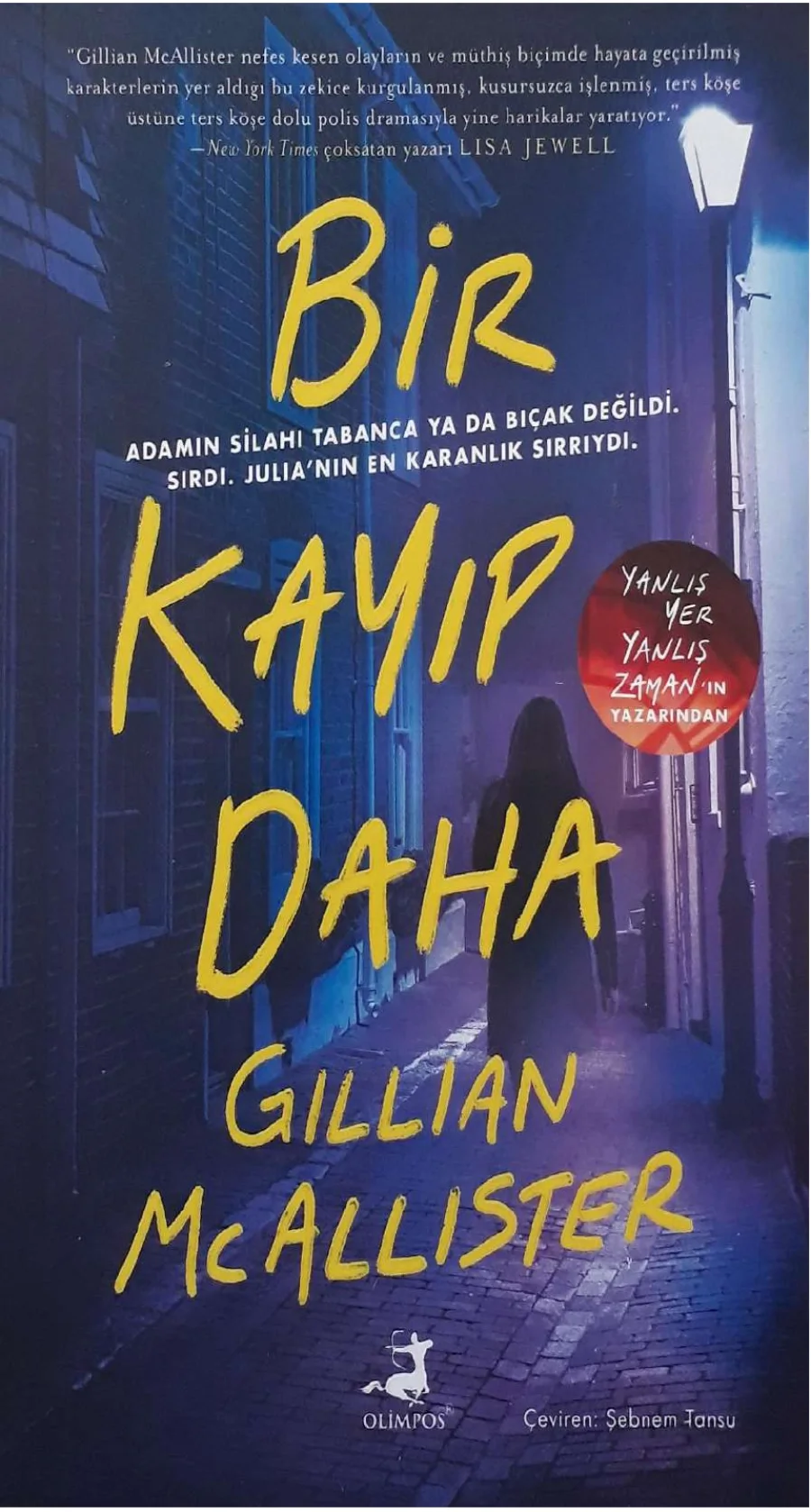 Bir Kayıp Daha kapak görseli