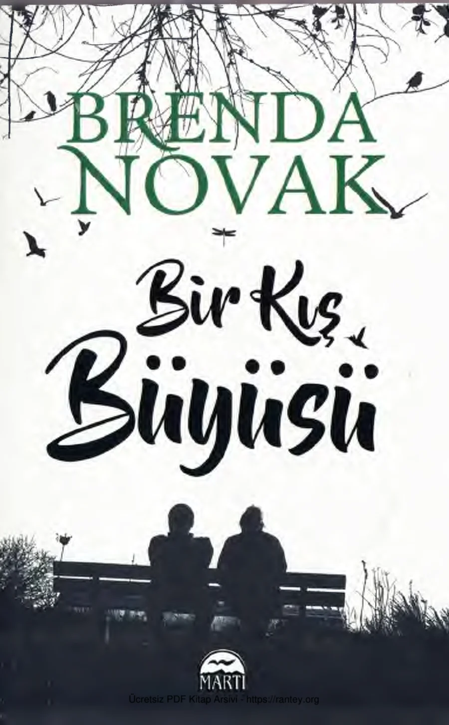 Bir Kış Büyüsü kapak görseli