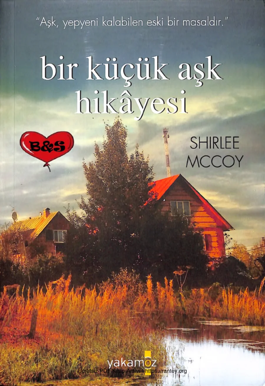 Bir Küçük Aşk Hikayesi Home Sweet Home 1 kapak görseli