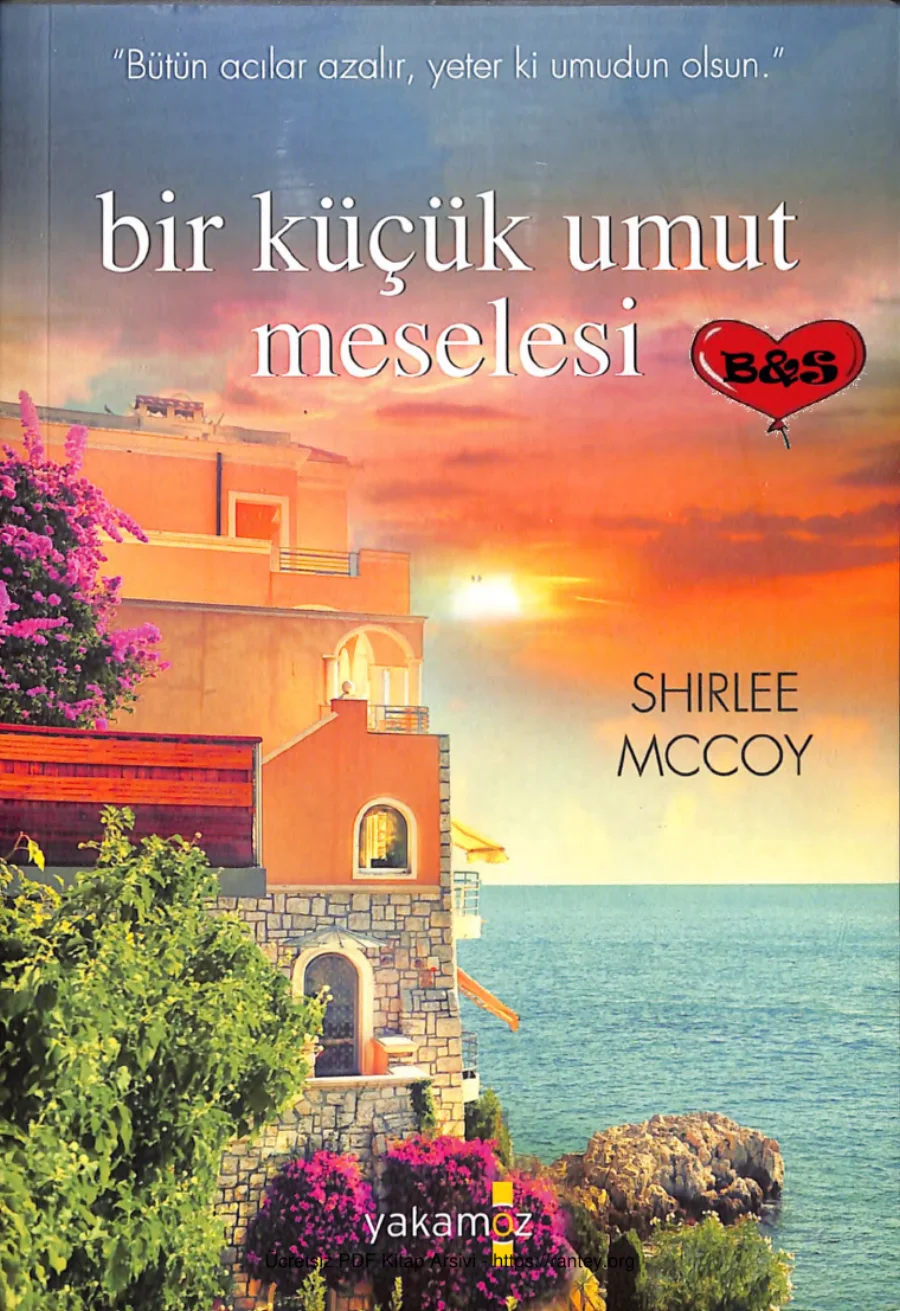Bir Küçük Umut Meselesi Home Sweet Home 2 kapak görseli
