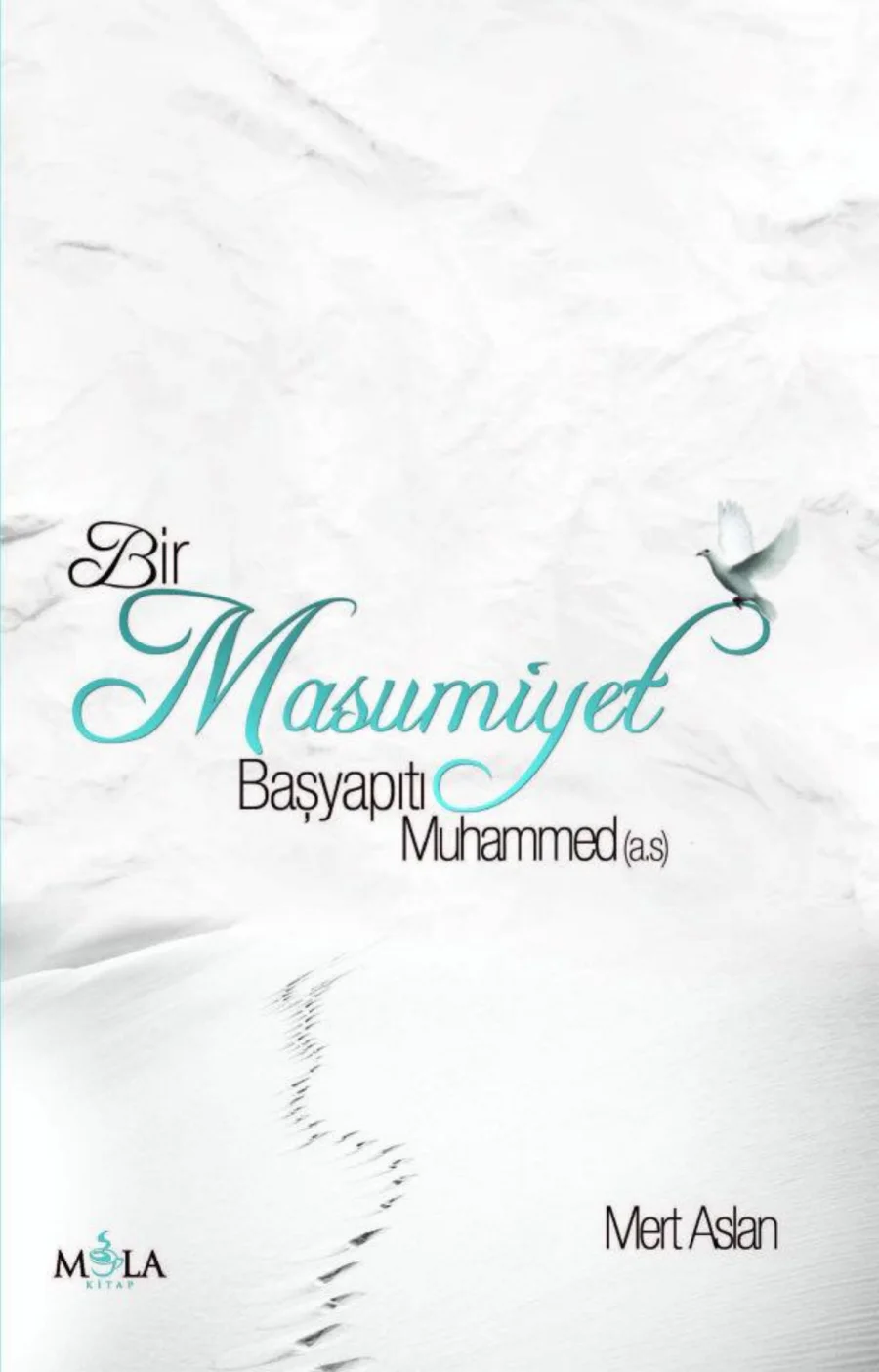 Bir Masumiyet Başyapıtı Muhammed Mola Yayınları kapak görseli