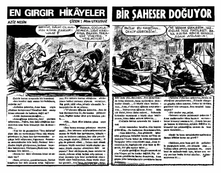 Bir Şahaser Doğuyor kapak görseli