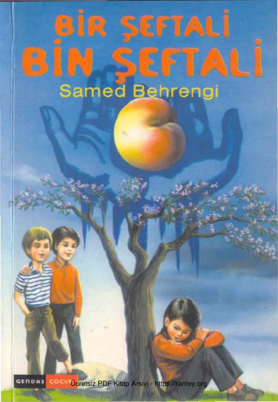 Bir Şeftali Bin Şeftali kapak görseli