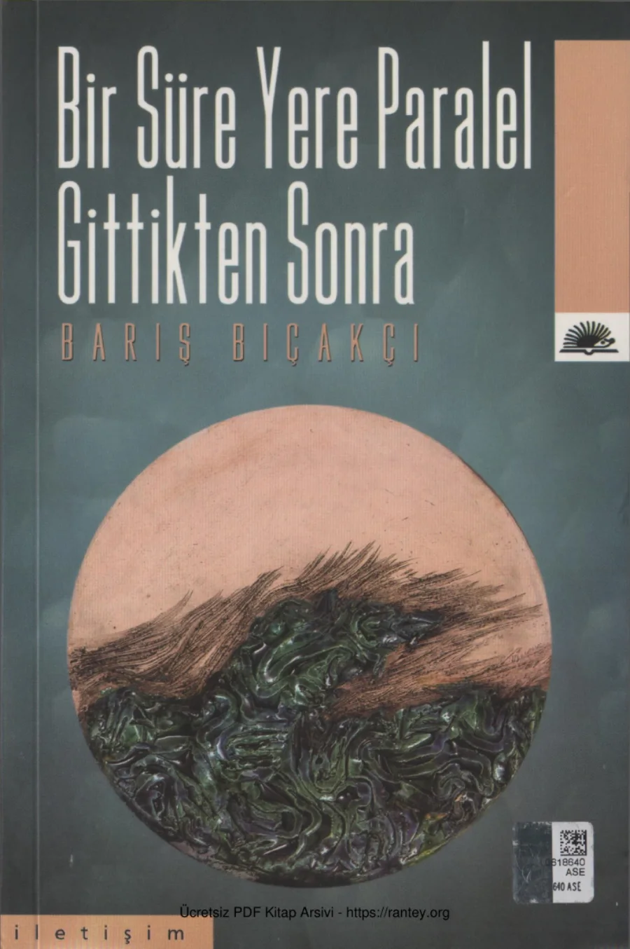 Bir Süre Yere Paralel Gittikten Sonra kapak görseli