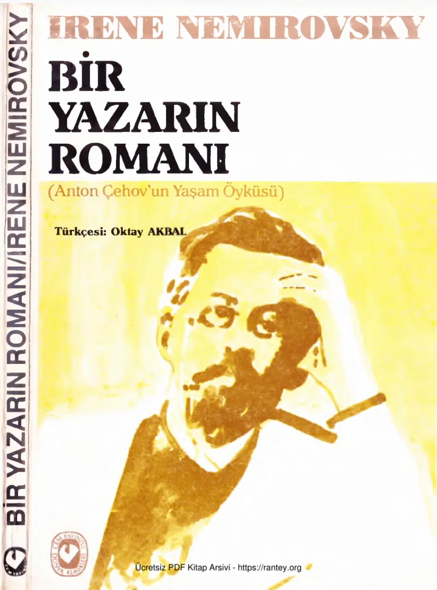 Bir Yazarın Romanı kapak görseli