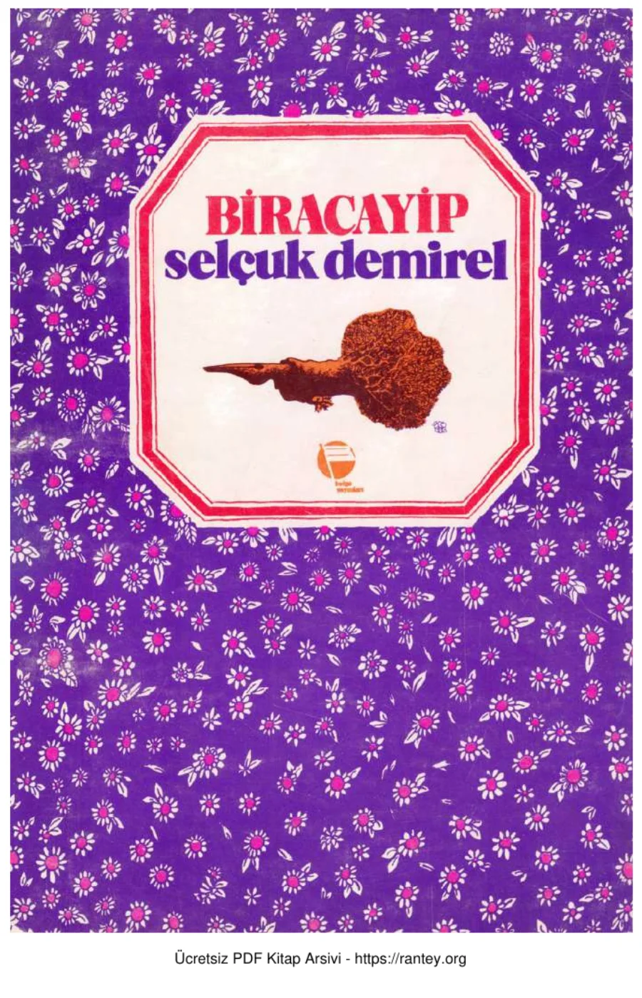 Biracayip kapak görseli