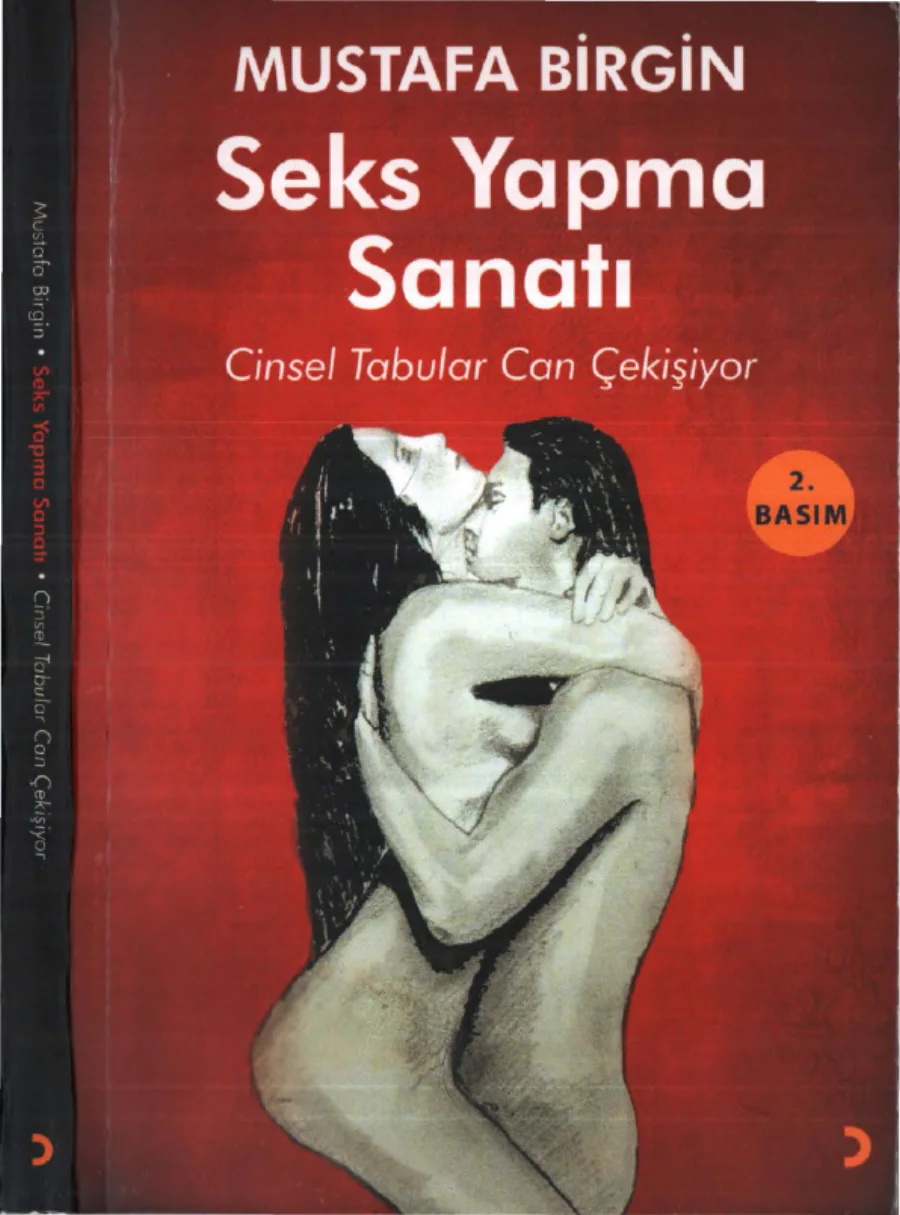 Birgin Seks Yapma Sanatı kapak görseli