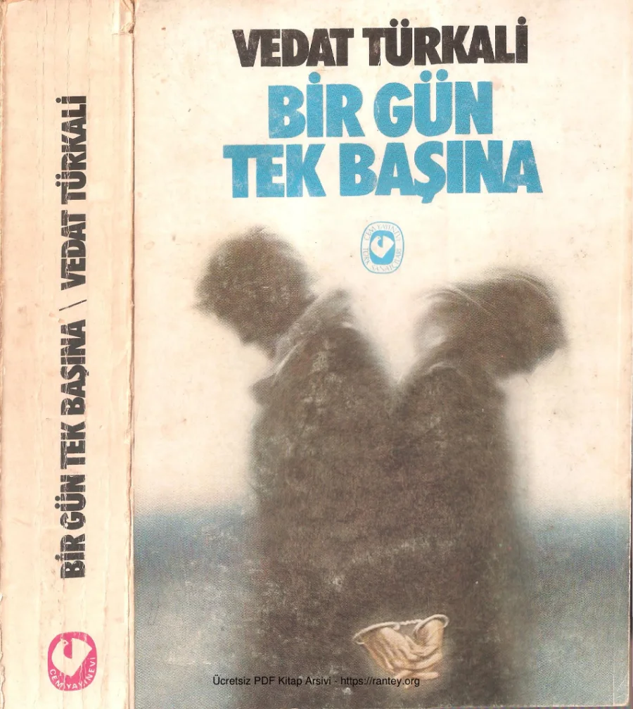 Birgün Tek Başına kapak görseli
