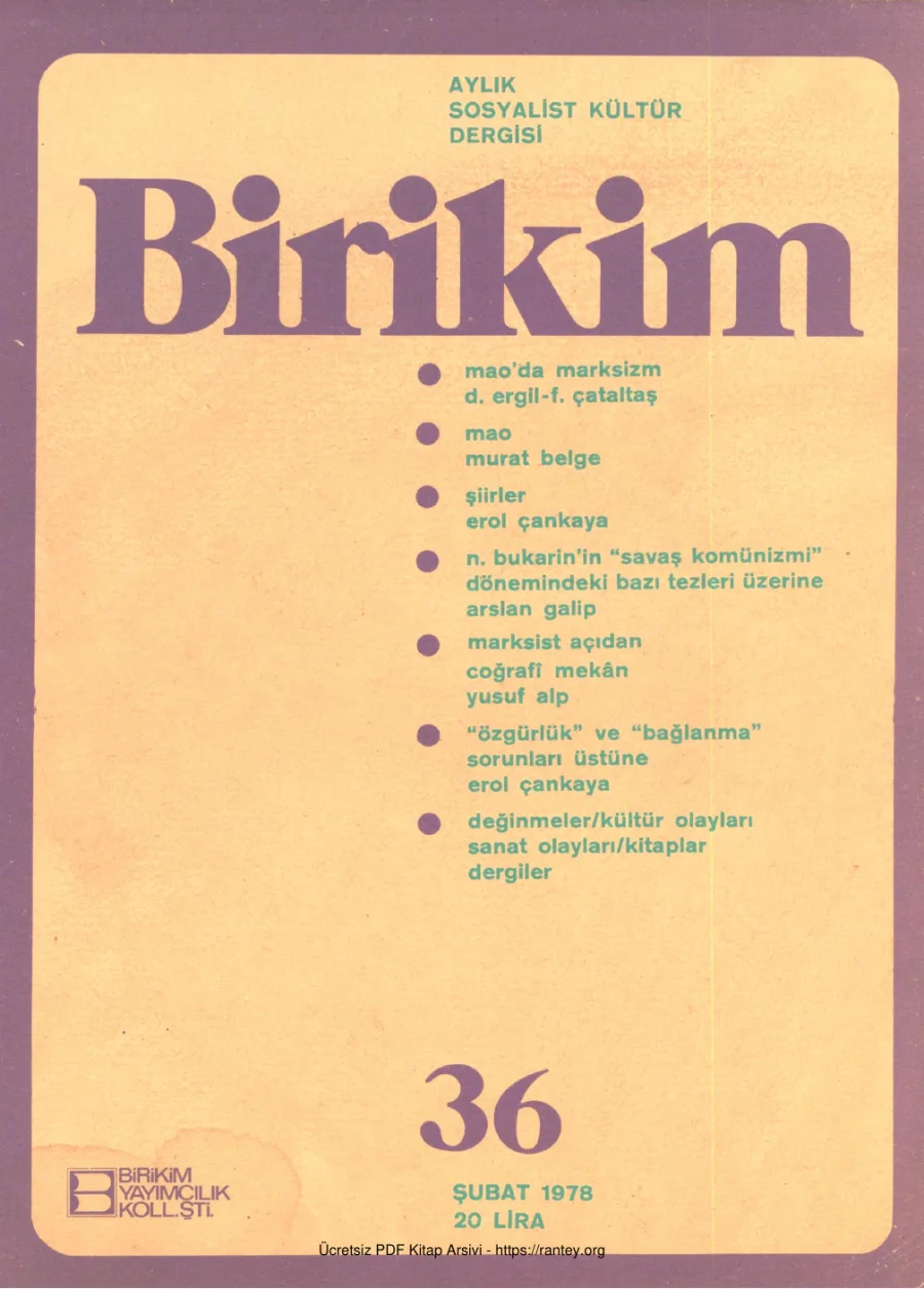 Birikim Sayı 036 1978 Ocak kapak görseli