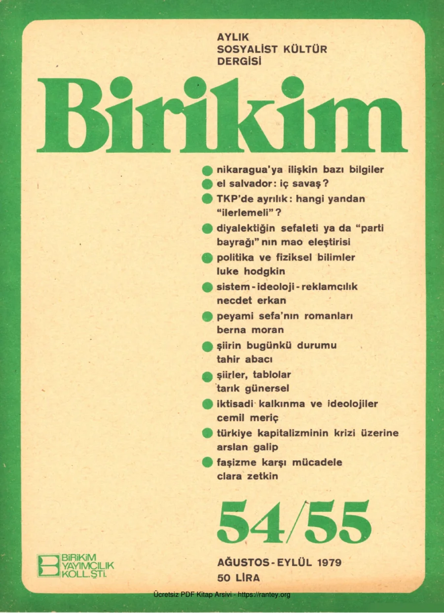 Birikim Sayı 054 055 1979 Ağustos Eylül kapak görseli
