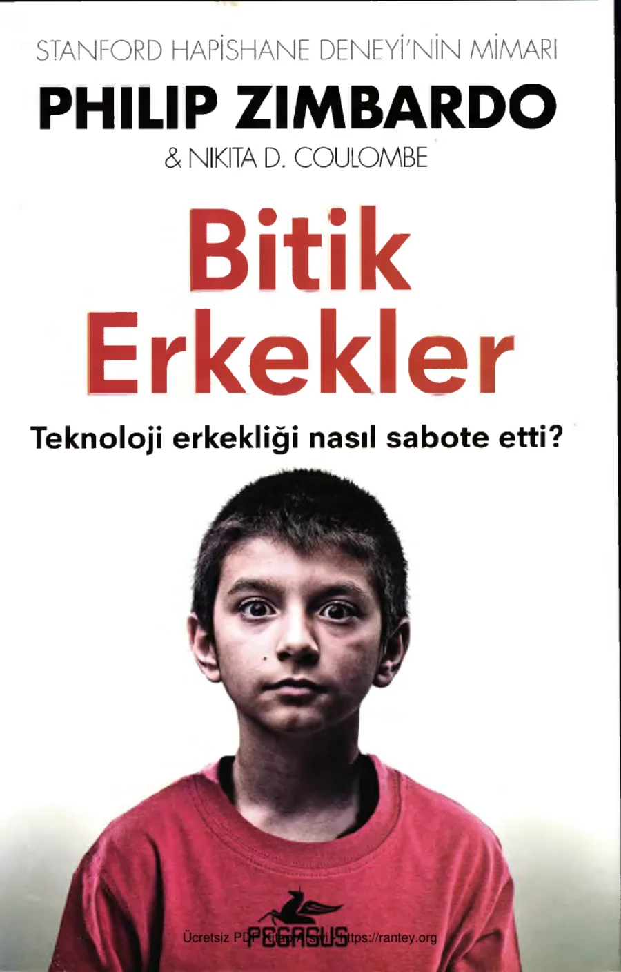 Bitik Erkekler Pegasus Yayınları kapak görseli