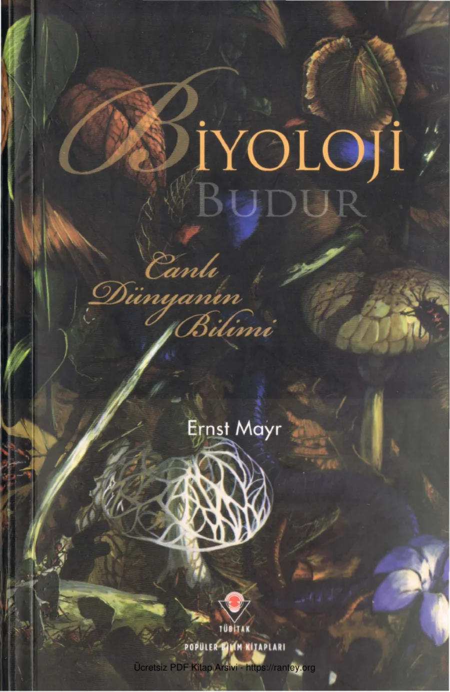 Biyoloji Budur kapak görseli