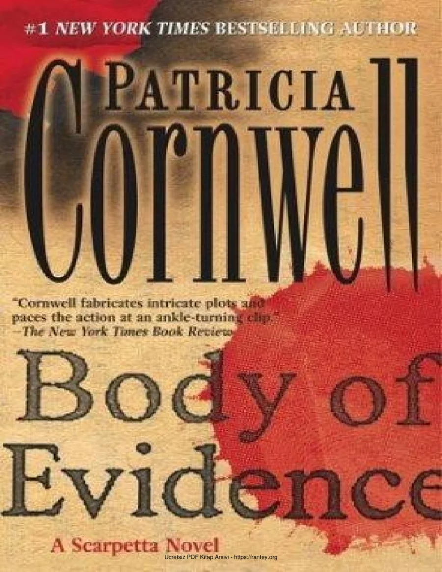 Body of Evidence kapak görseli