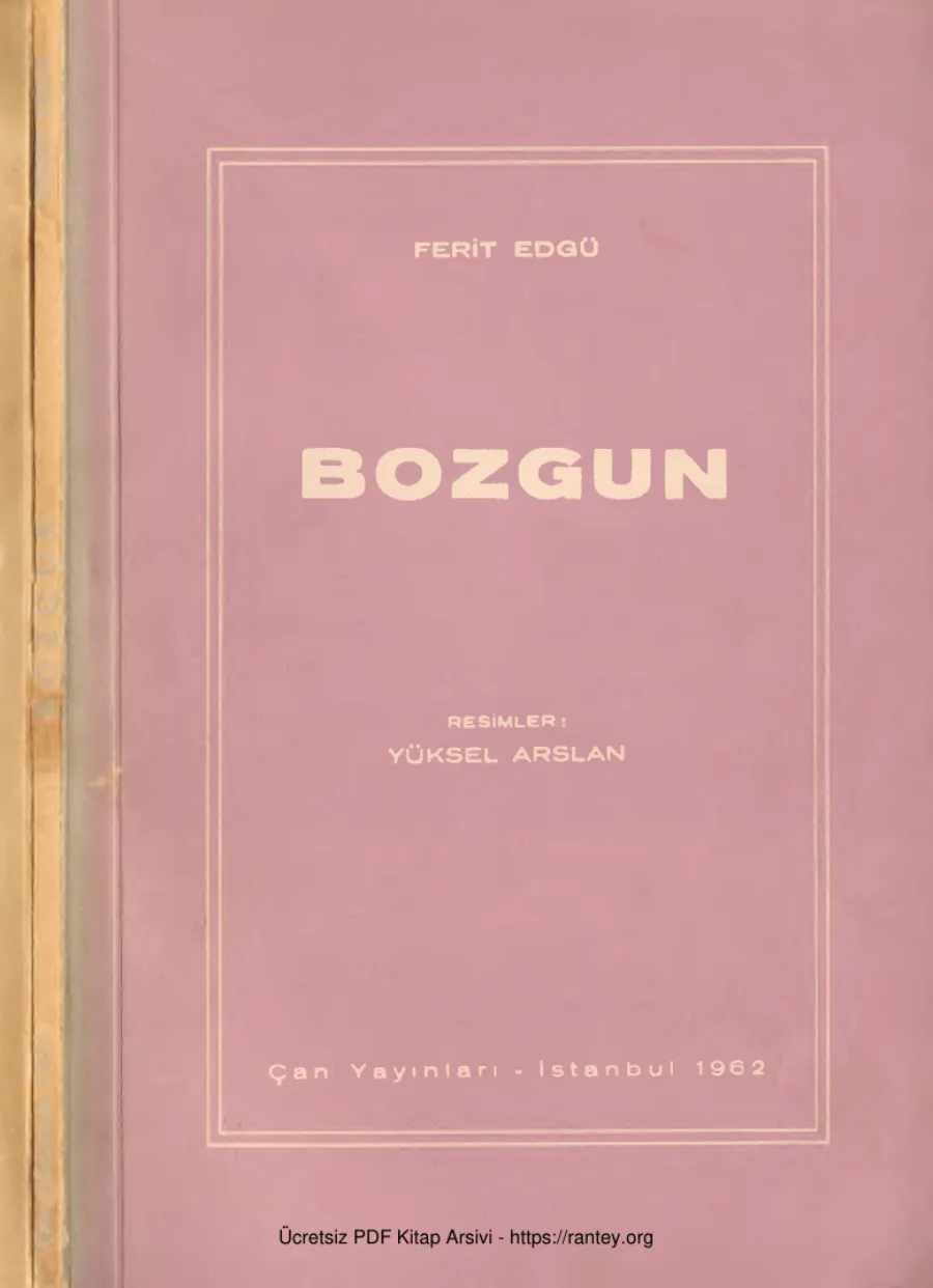 Bozgun kapak görseli