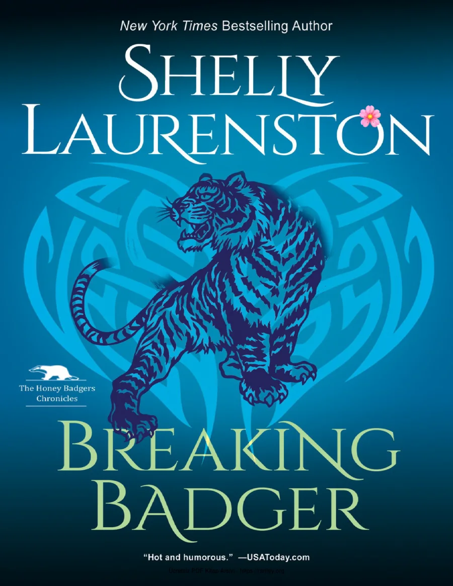 Breaking Badger kapak görseli