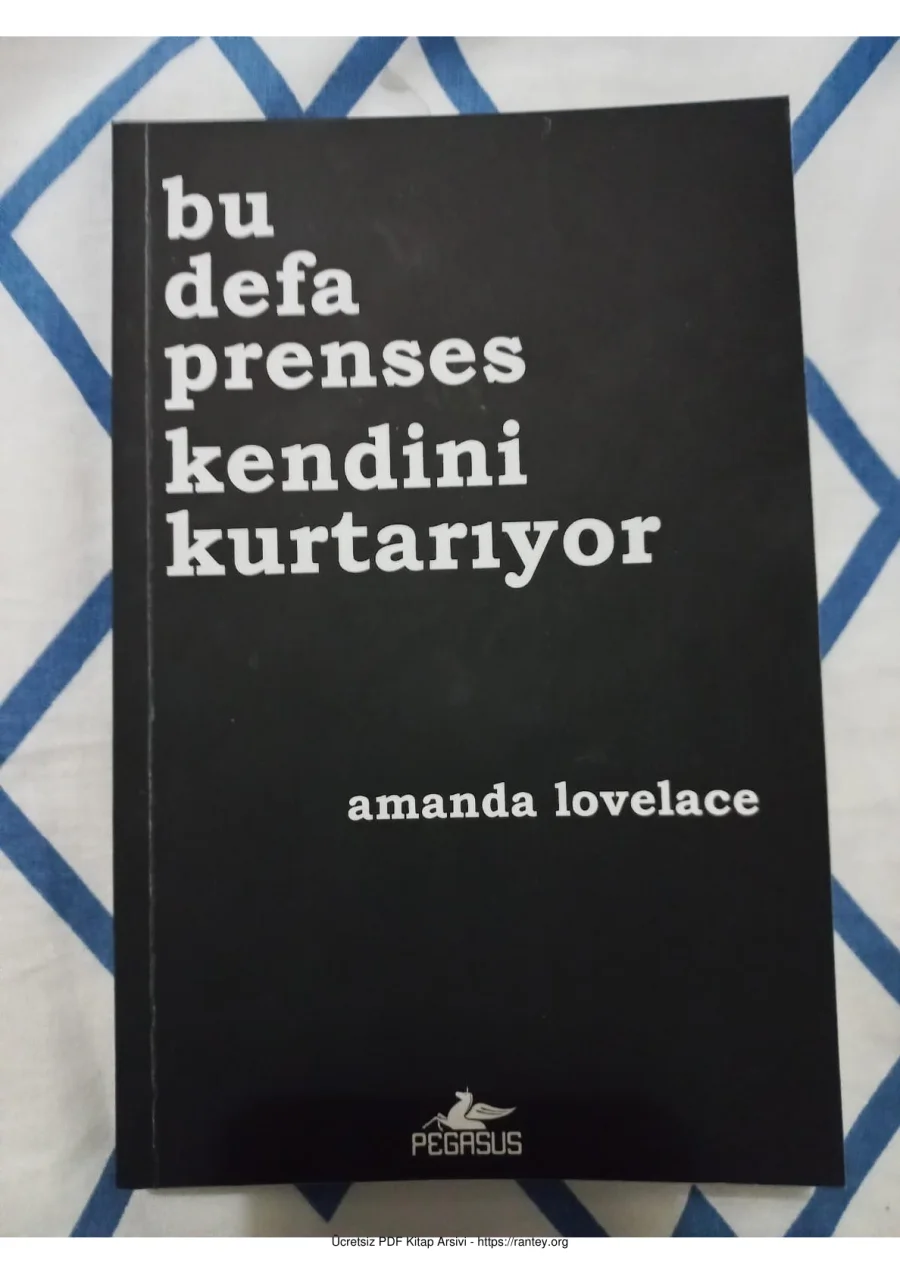 Bu Defa Prenses Kendini Kurtarıyor kapak görseli