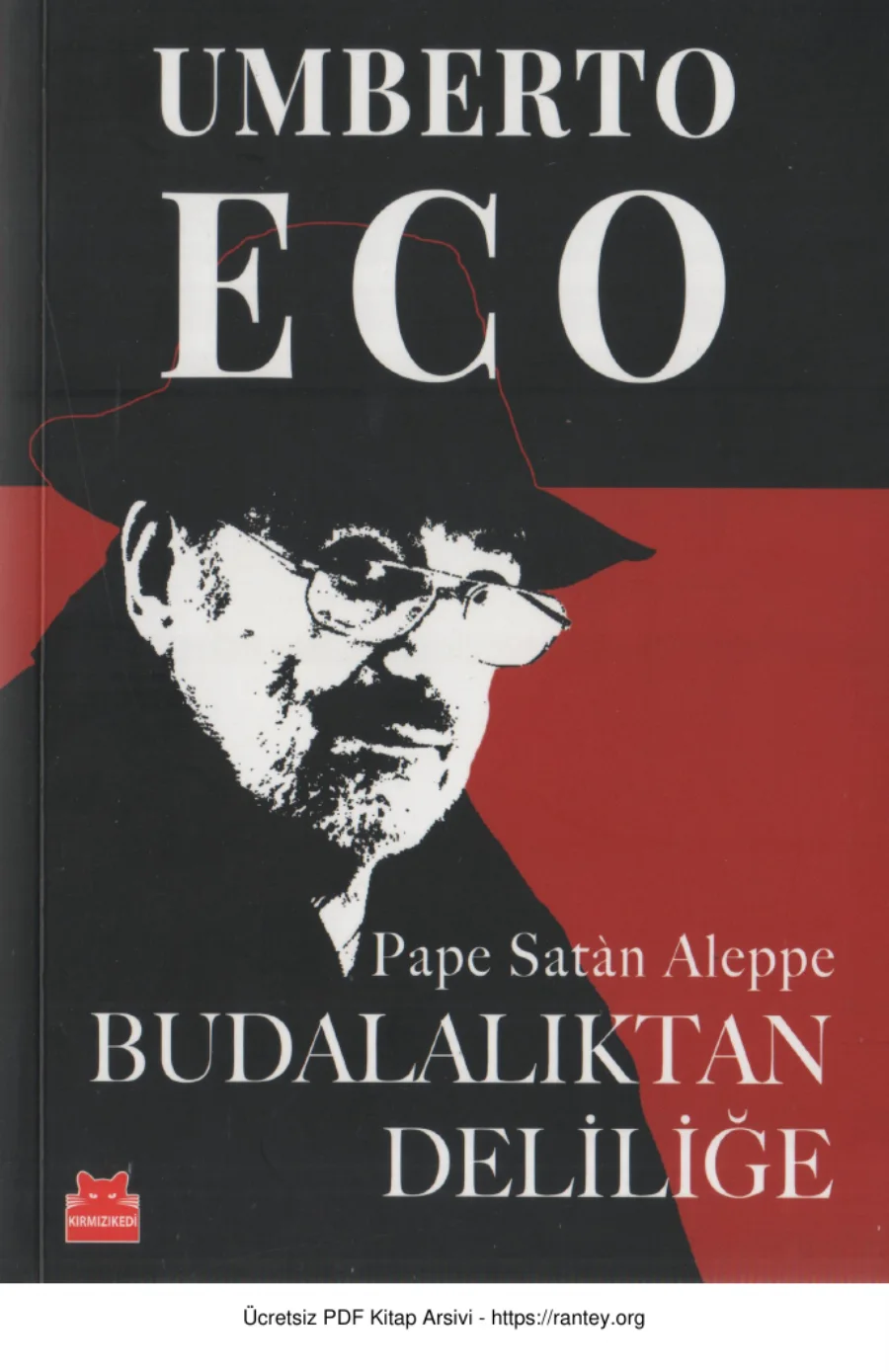 Budalalıktan Deliliğe kapak görseli