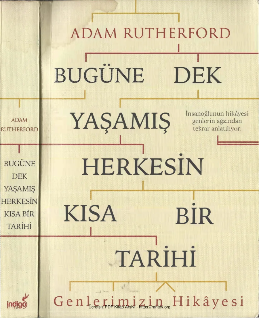 Bugüne Dek Yaşamış Herkesin Kısa Bir Tarihi İndigo kapak görseli
