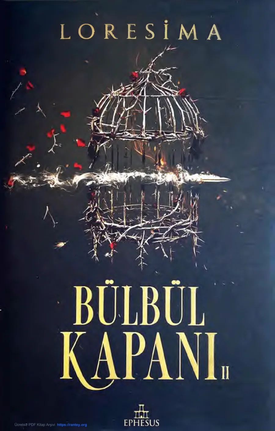 Bülbül Kapanı 2 kapak görseli