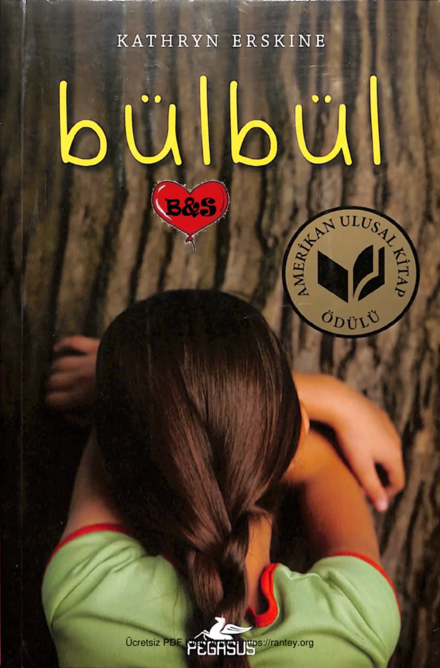 Bülbül kapak görseli