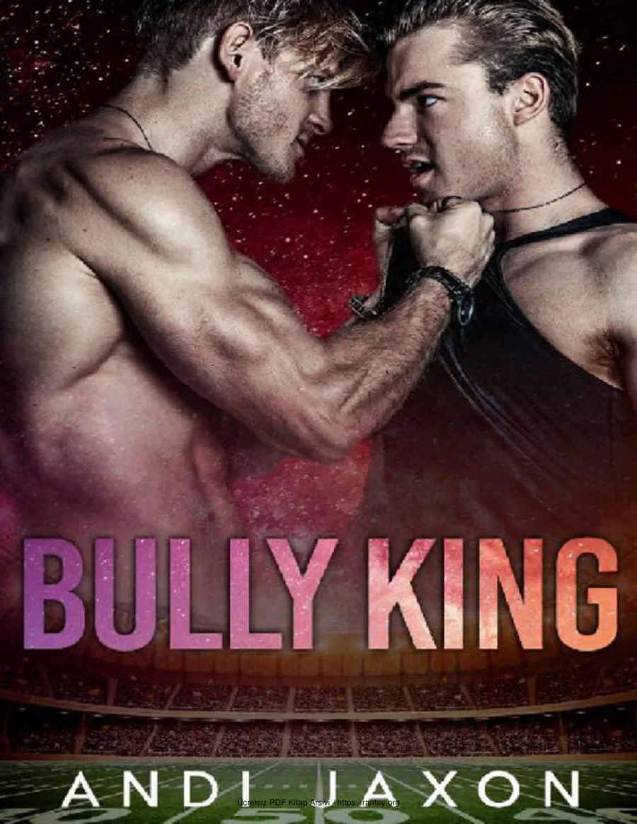 Bully King kapak görseli