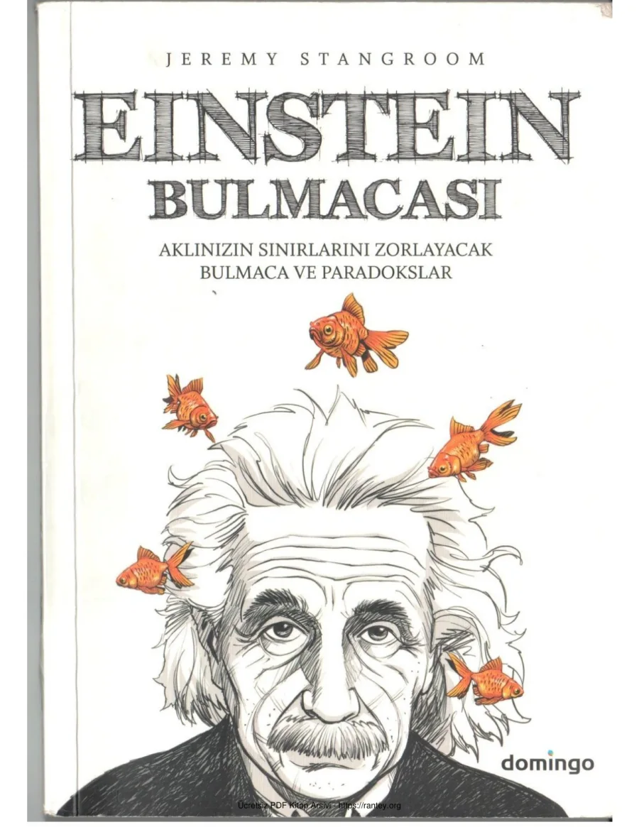 Bulmacası kapak görseli
