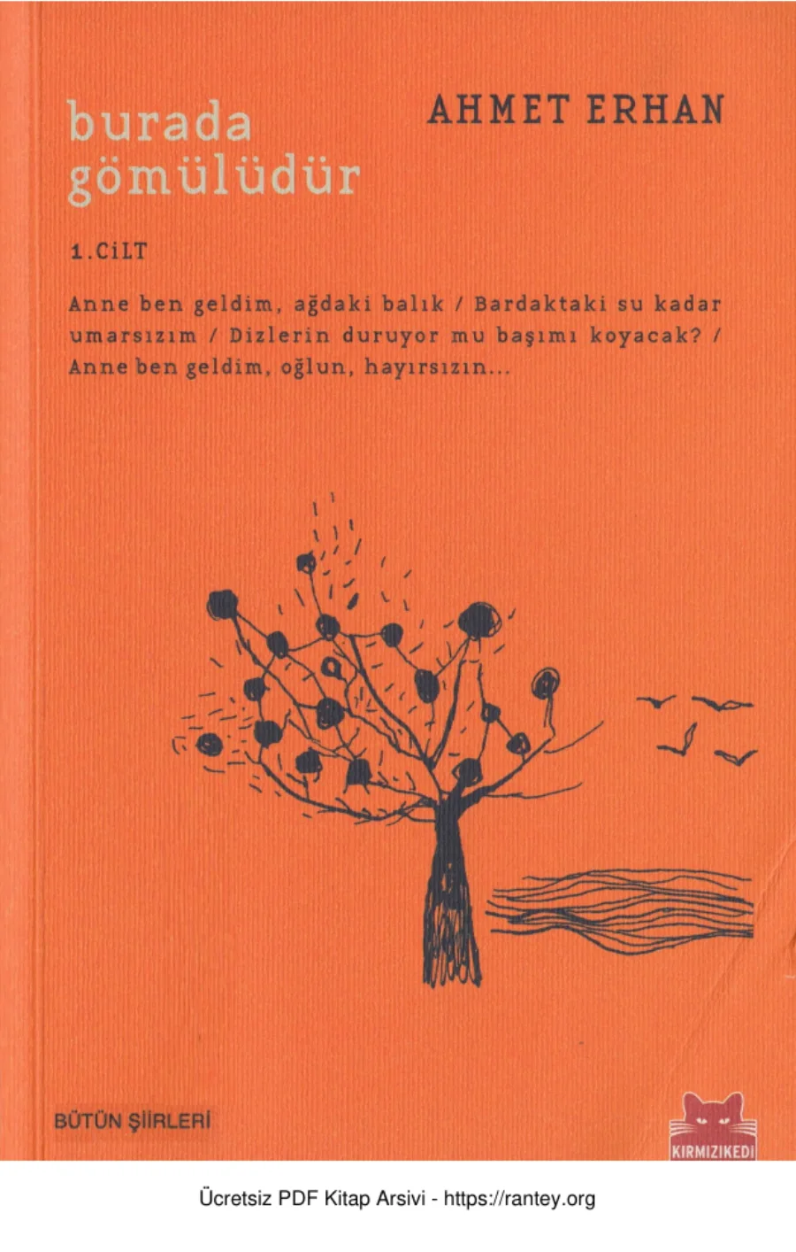 Burada Gömülüdür 1 kapak görseli