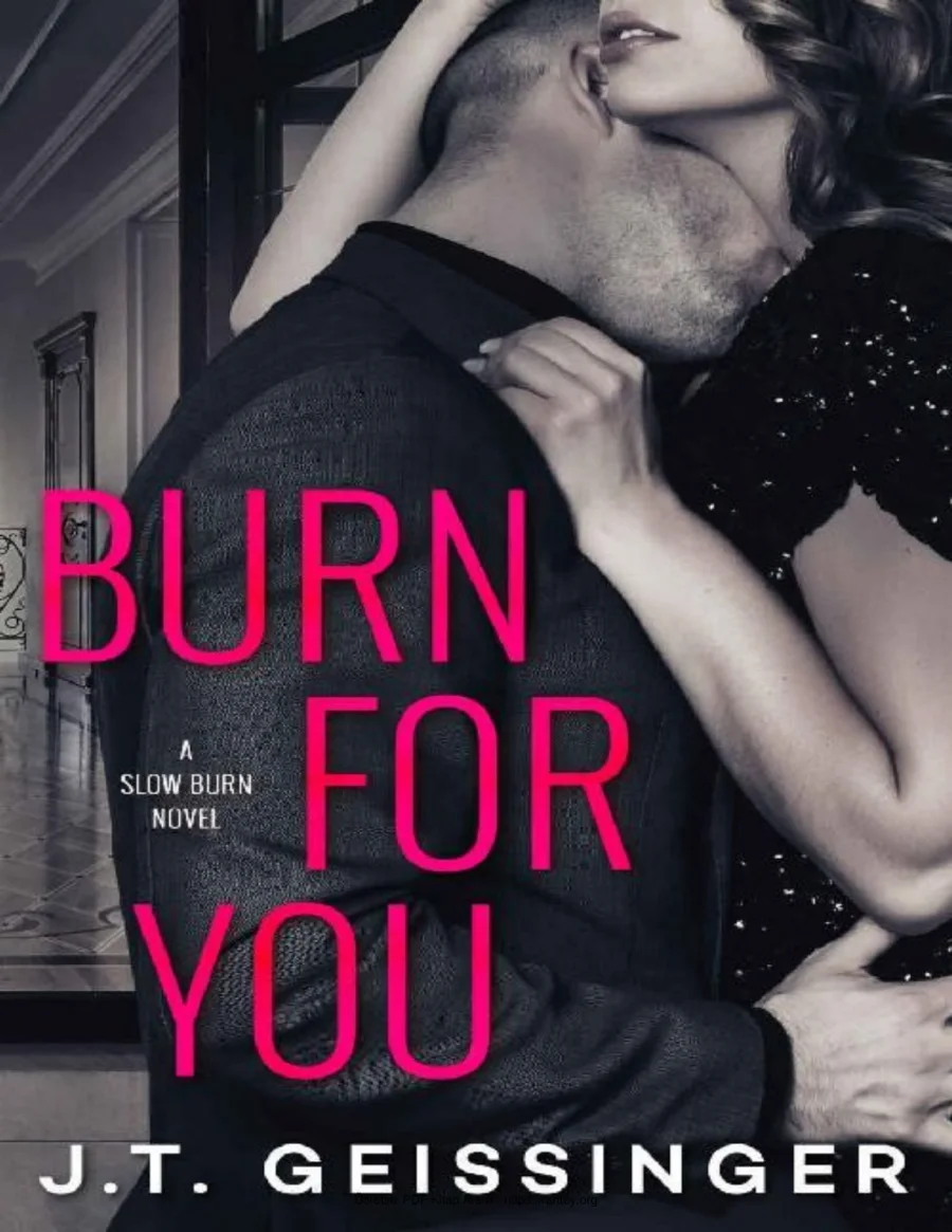 Burn for You kapak görseli