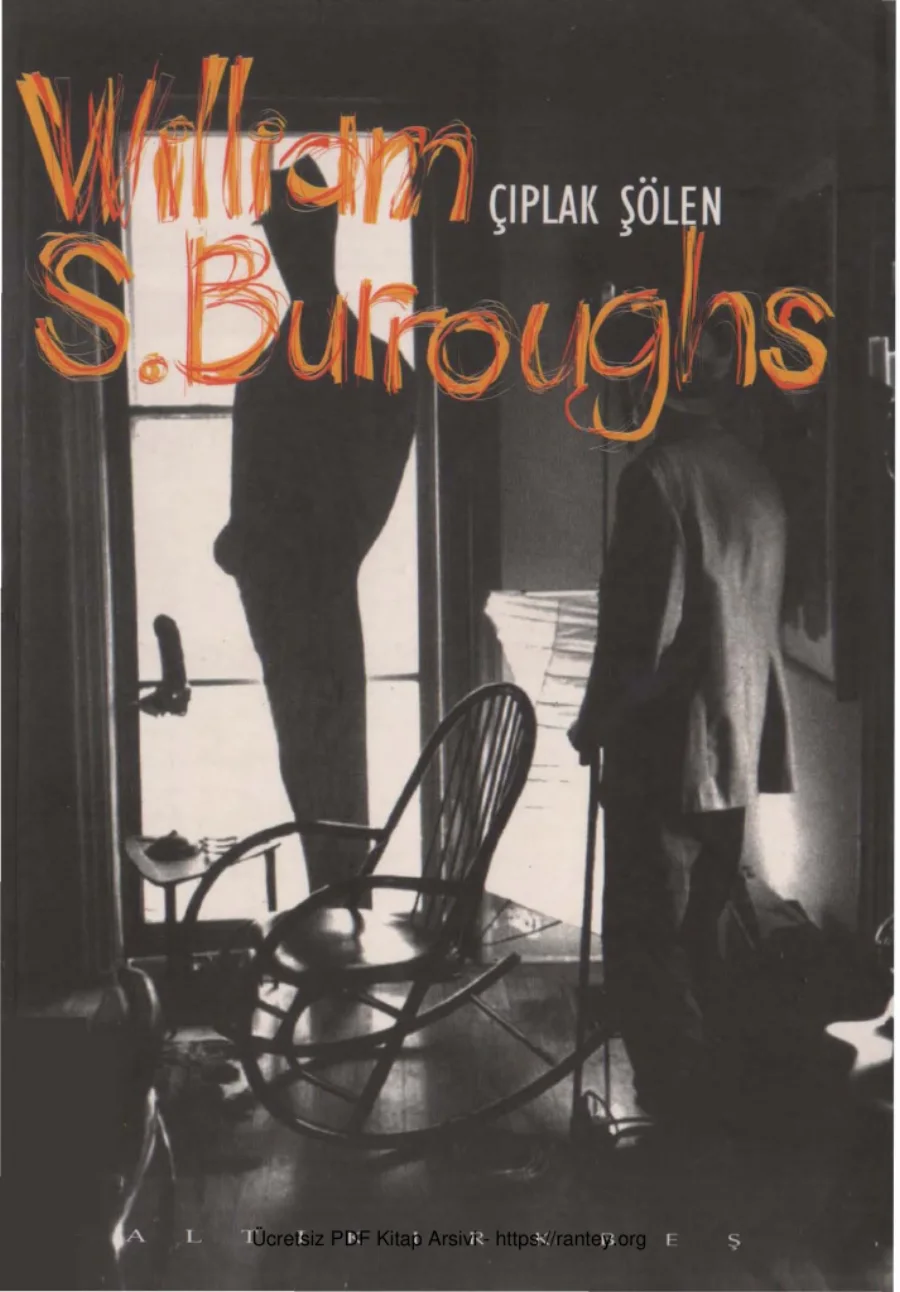 Burroughs Çıplak Şölen kapak görseli
