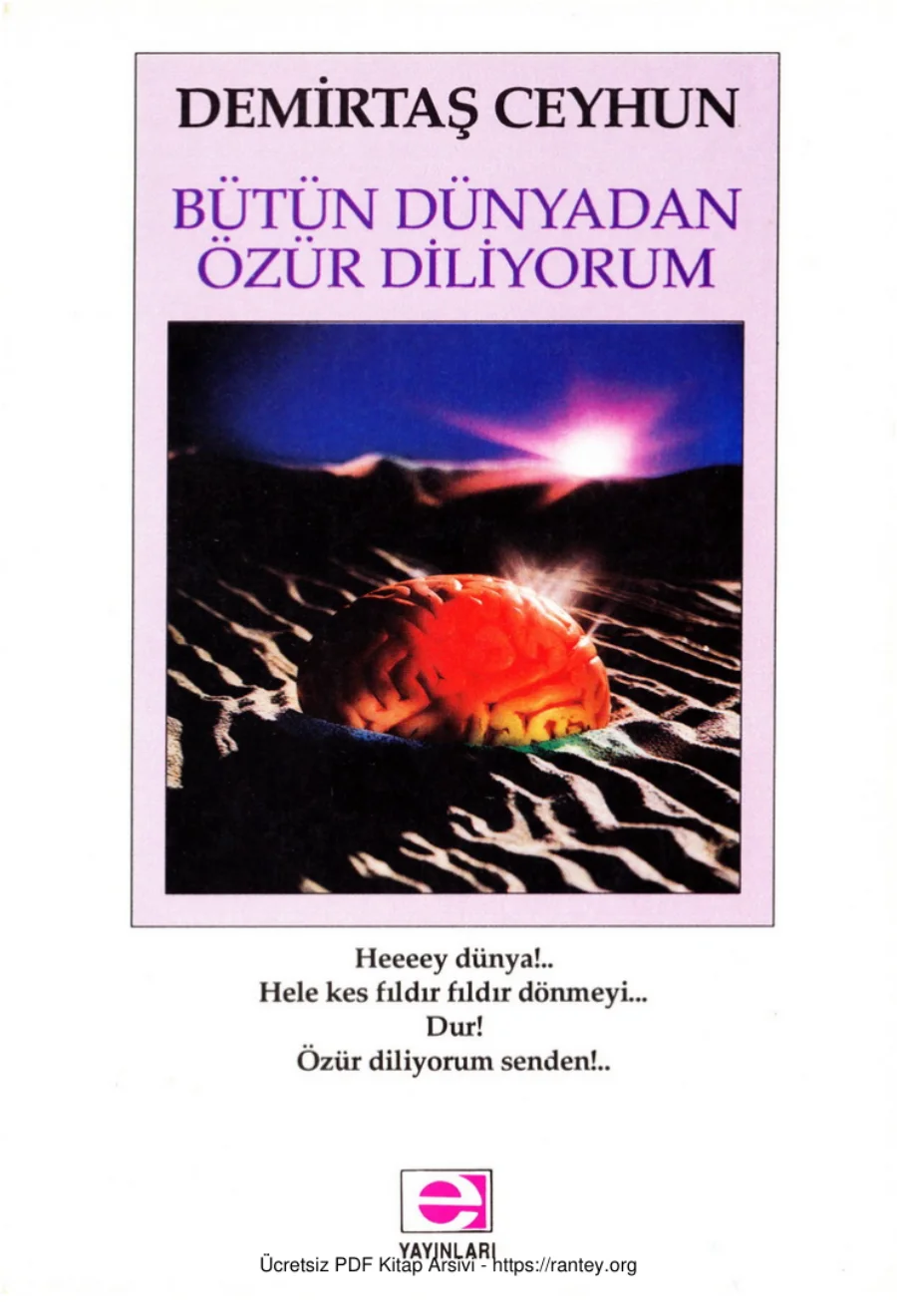 Bütün Dünyadan Özür Diliyorum kapak görseli