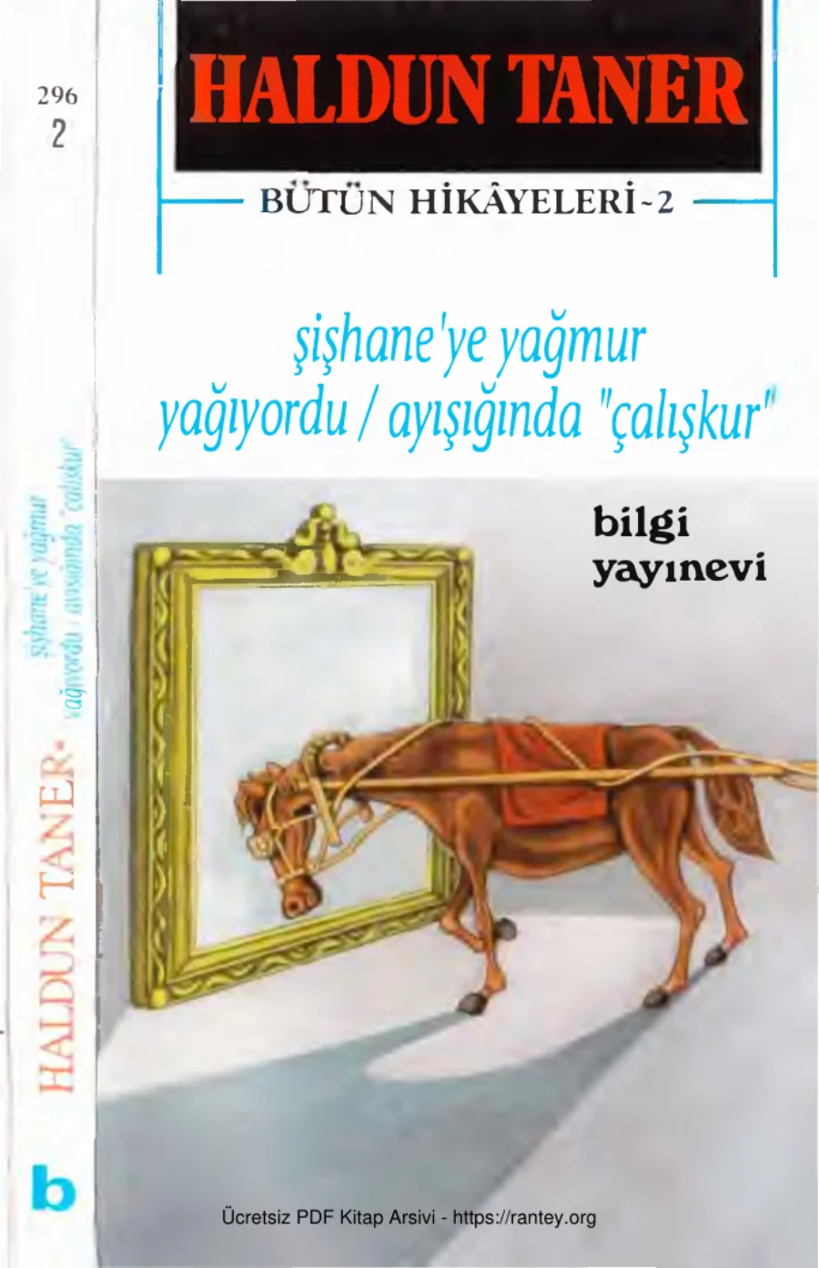 Bütün Hikayeleri 2 Şişhaneye Yağmur Yağıyordu Ayışığında Çalışkur Bilgi Yayınevi kapak görseli
