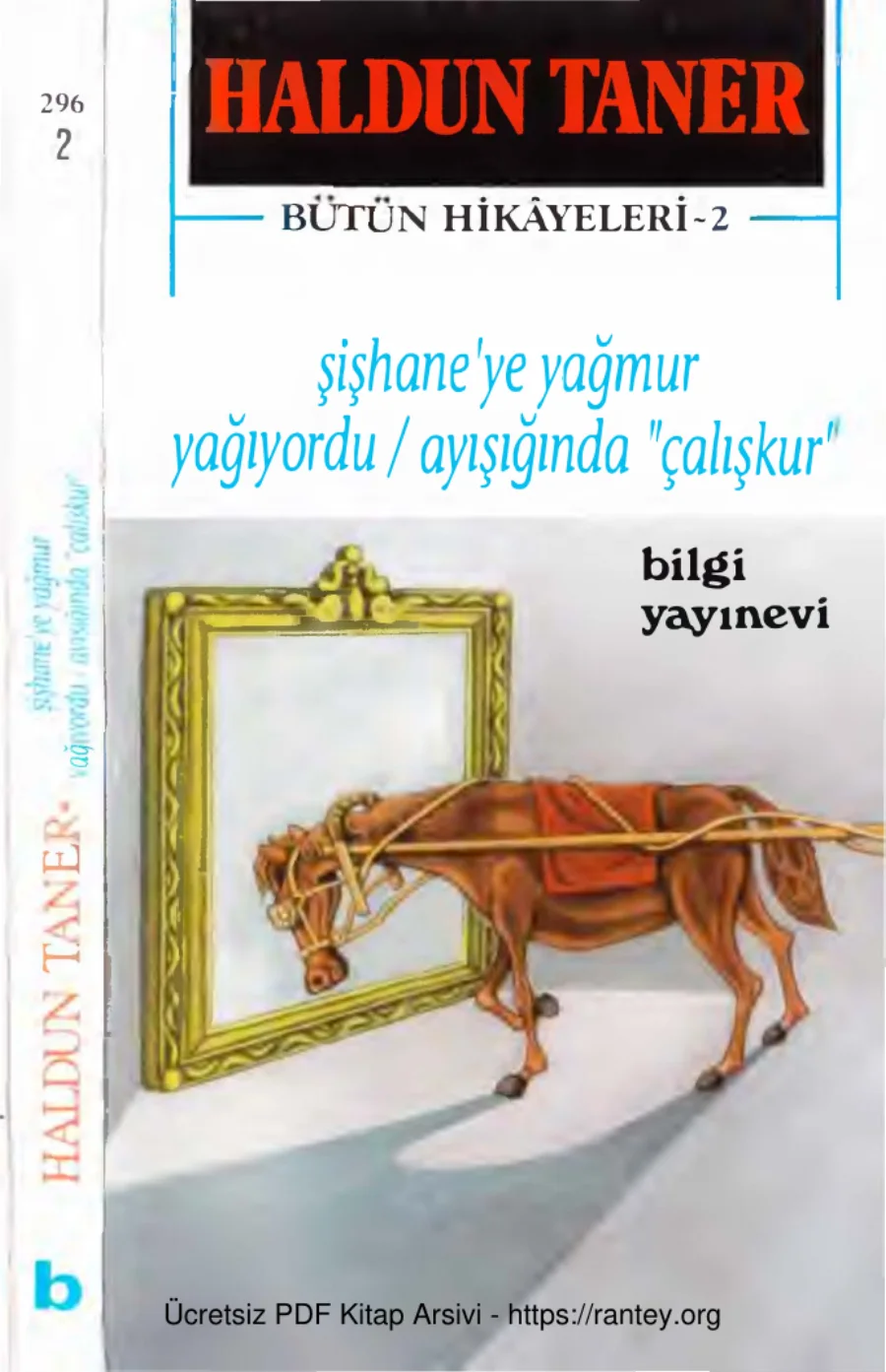 Bütün Hikayeleri 2 Şişhaneye Yağmur Yağıyordu Ayışığında kapak görseli