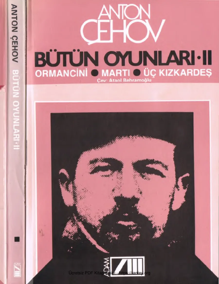 Bütün Oyunlar 2 Ormancini Martı Üç Kızkardeş kapak görseli