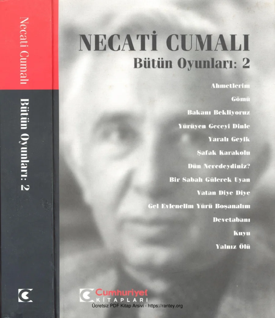 Bütün Oyunları 2 kapak görseli