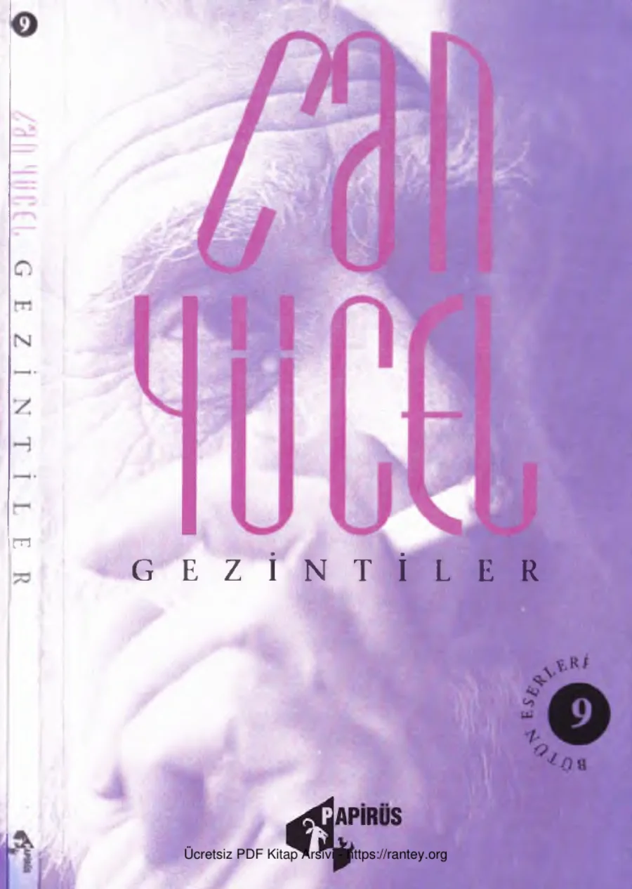 Bütün Şiirleri 9 Gezintileri Papirüs Yay 1997 cs kapak görseli