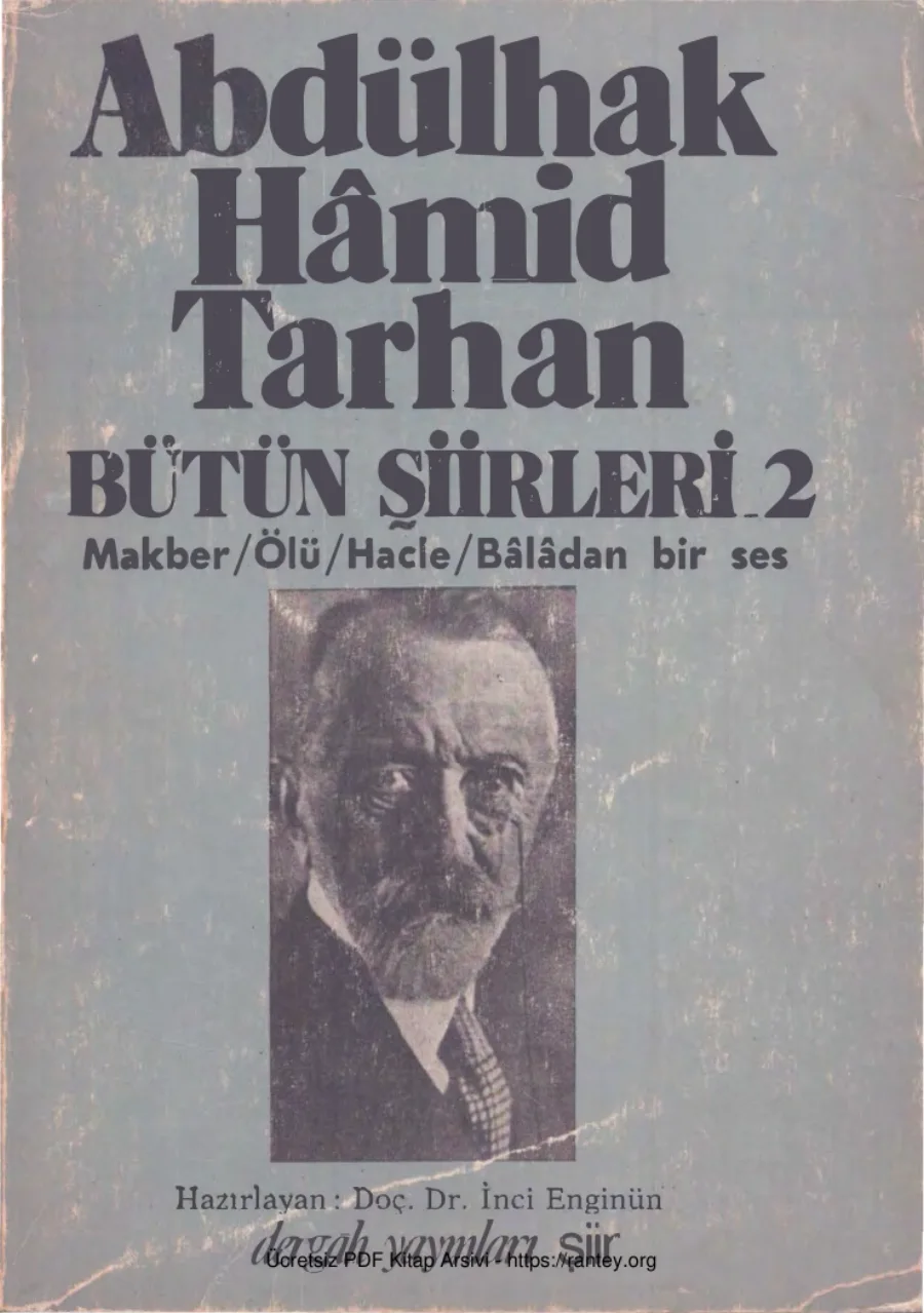 Bütün Şiirleri II kapak görseli