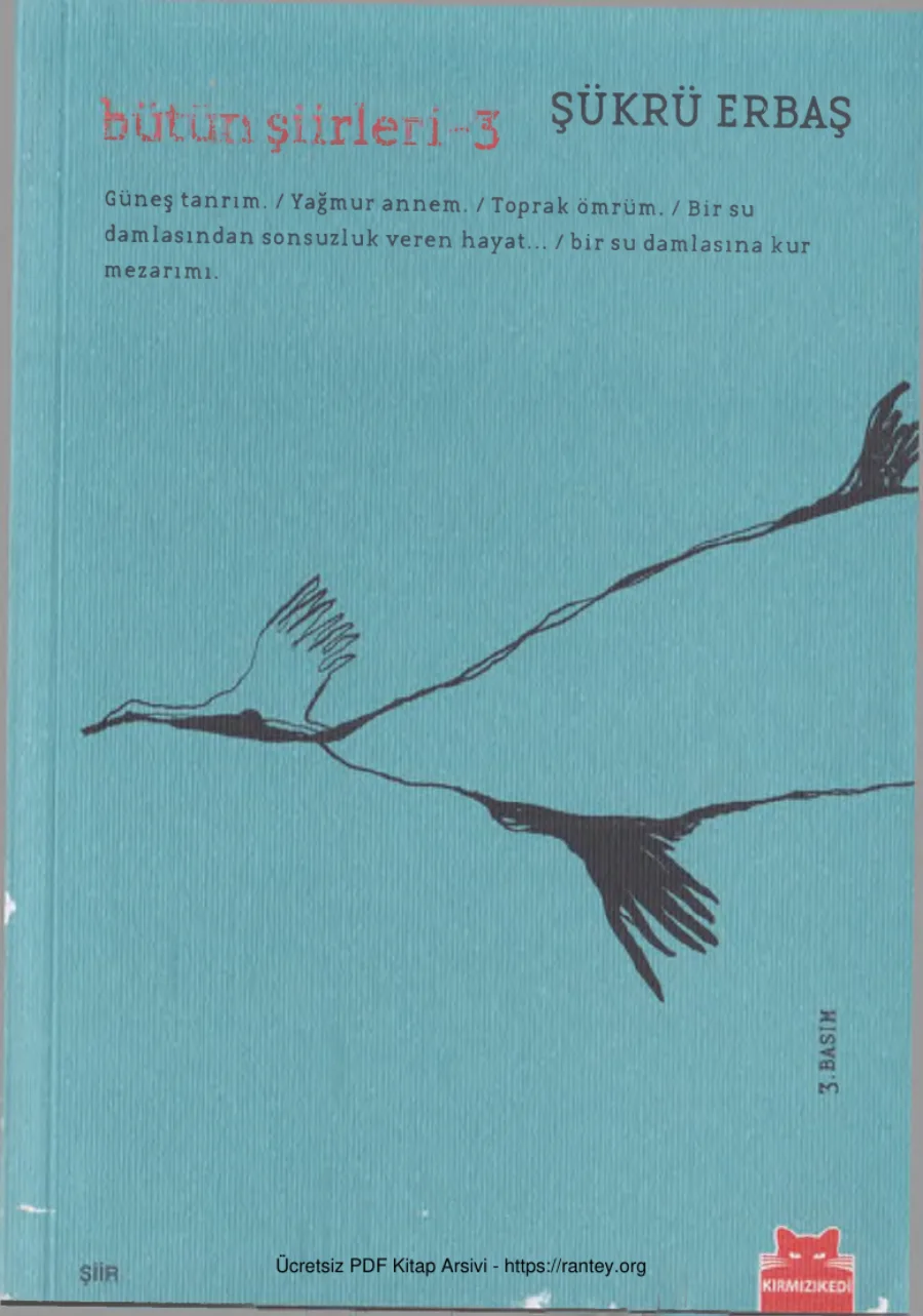 Bütün Şiirleri III kapak görseli