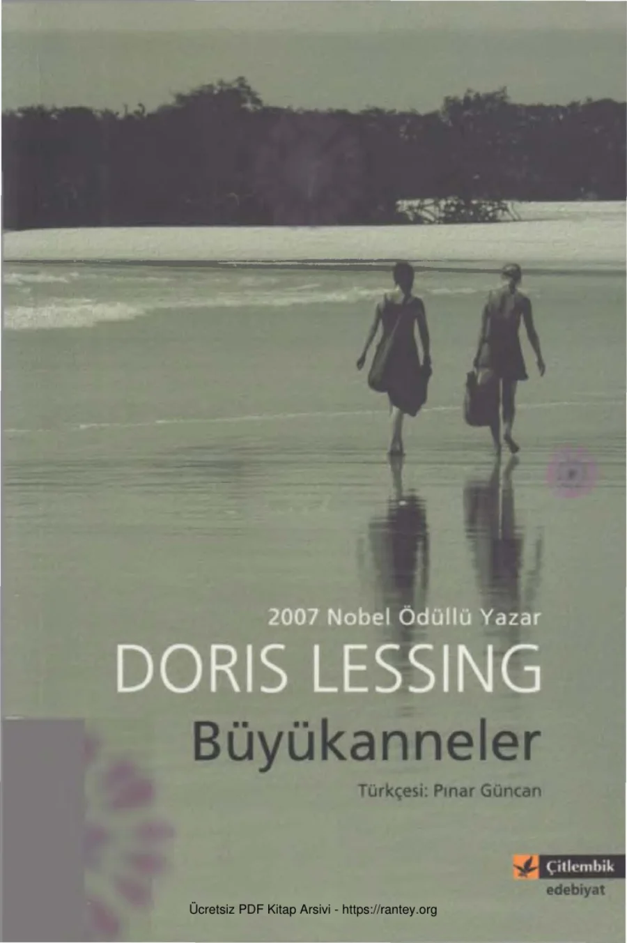 Büyükanneler kapak görseli