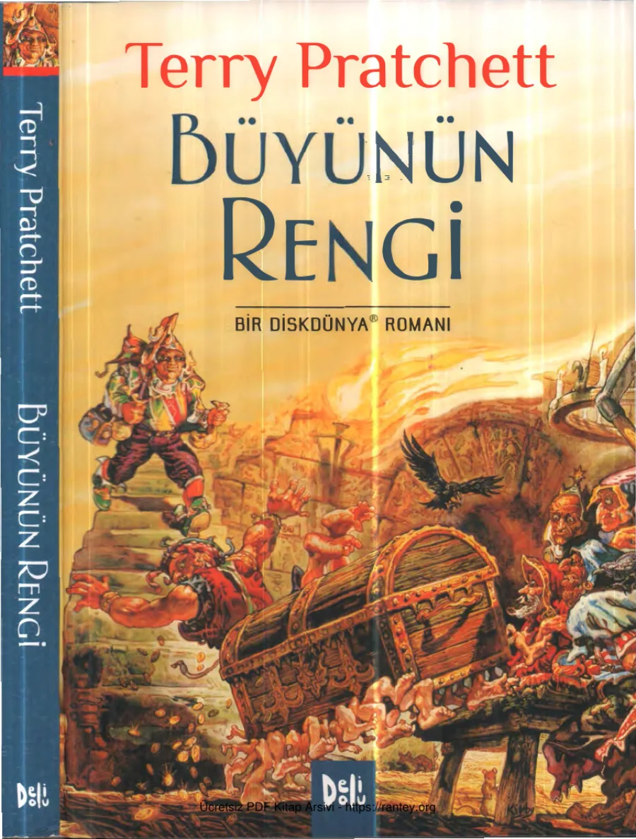 Büyünün Rengi Deli Dolu Yayınları kapak görseli