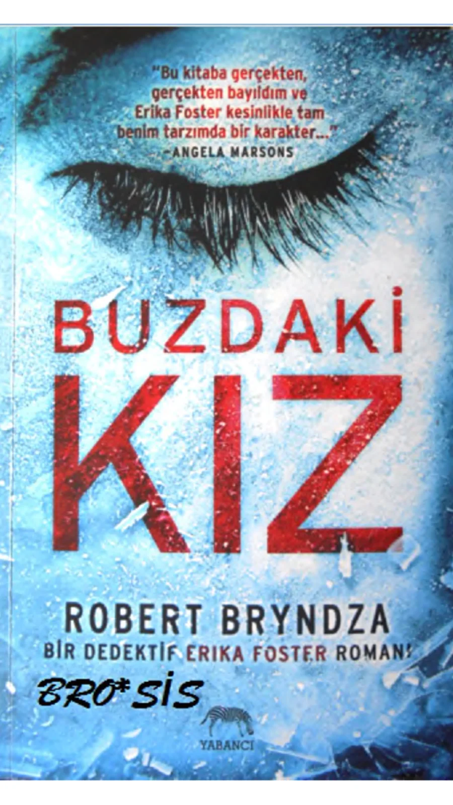 Buzdaki Kız kapak görseli