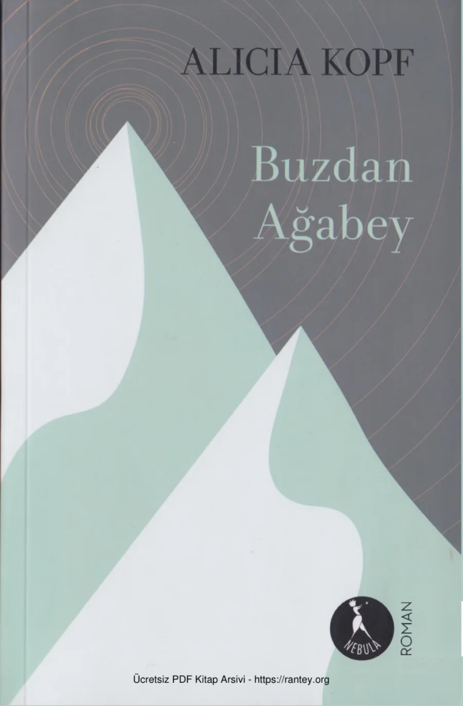 Buzdan Ağabey kapak görseli