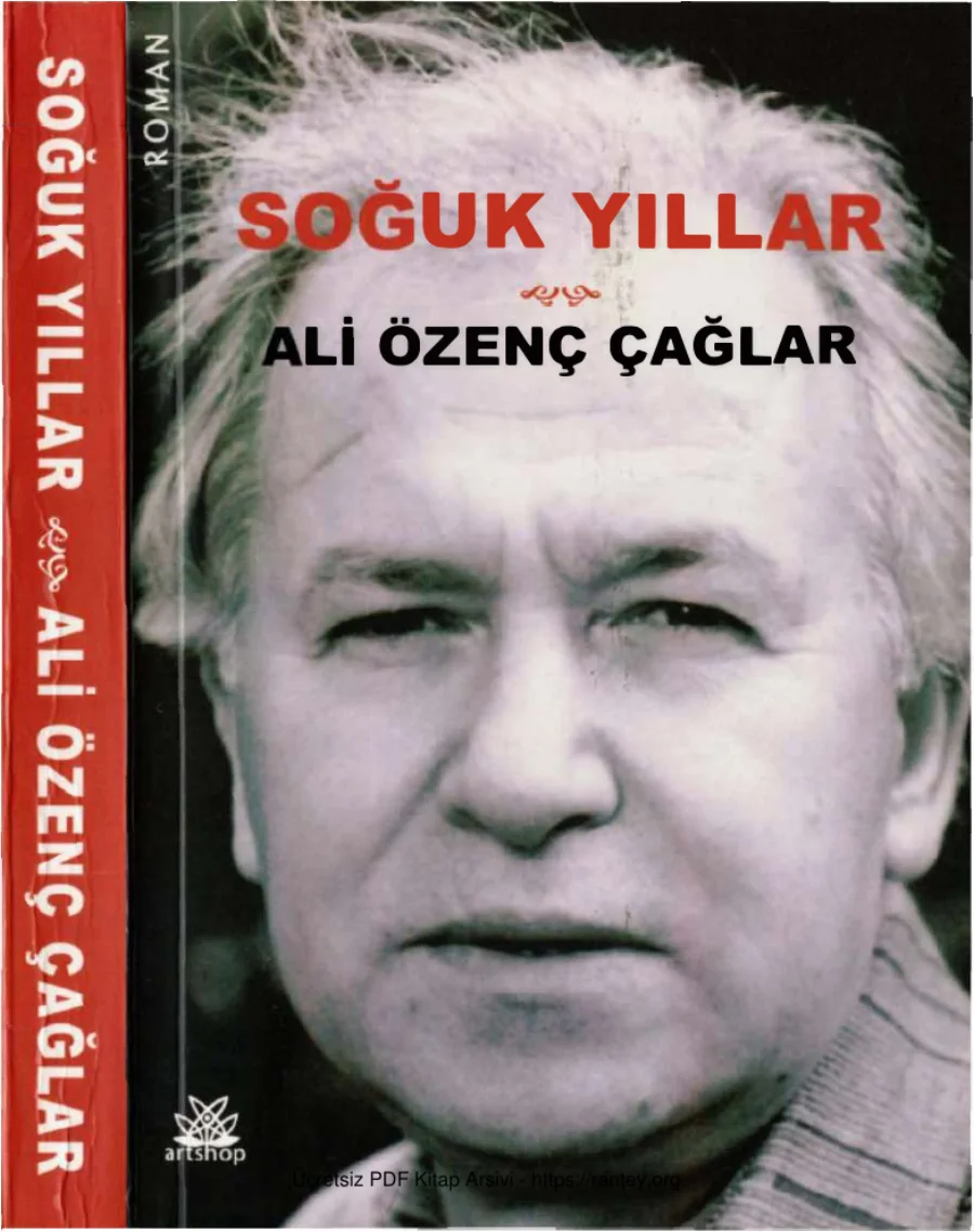 Çağlar Soğuk Yıllar Artshop Yayınları kapak görseli