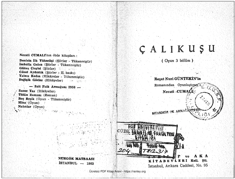 Çalıkuşu kapak görseli