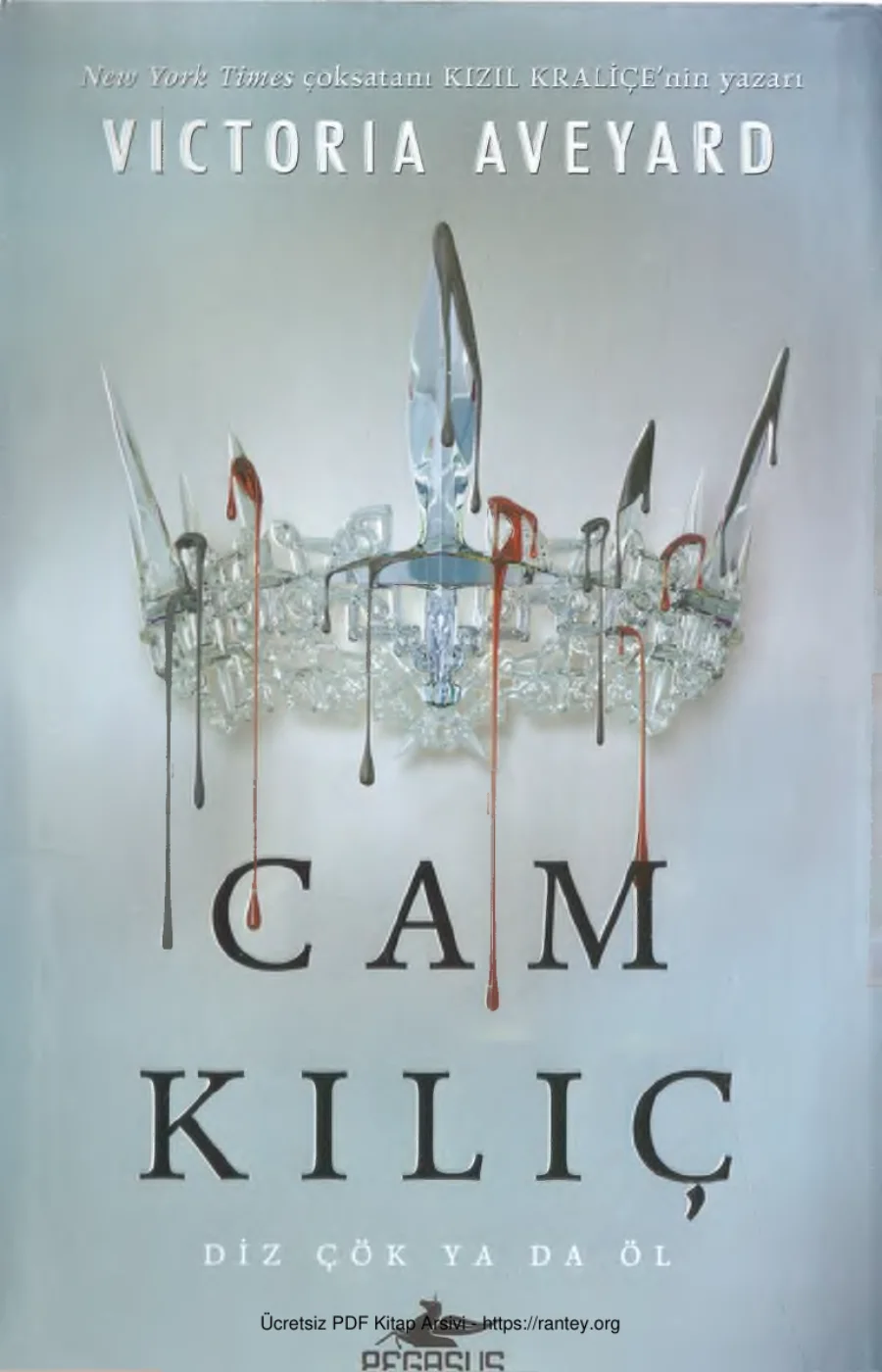 Cam Kılıç kapak görseli
