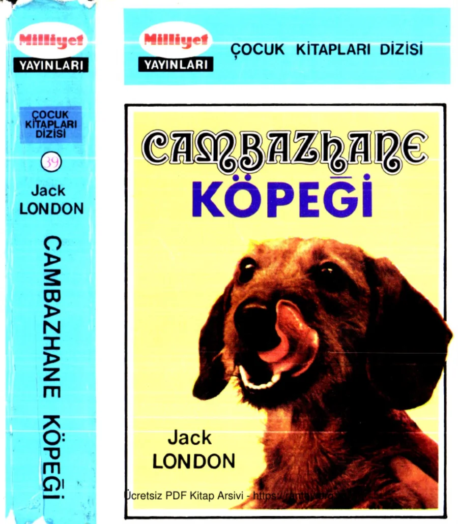 Cambazhane Köpeği Milliyet Çocuk Kitapları kapak görseli