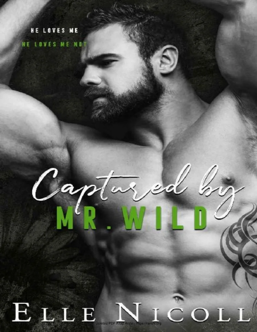 Captured by Mr Wild kapak görseli