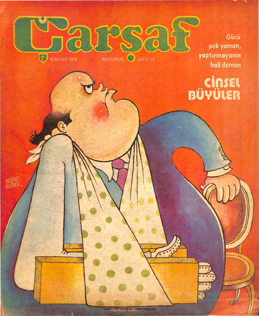 Çarşaf 1976 13 kapak görseli