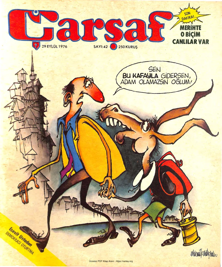 Çarşaf 1976 42 kapak görseli