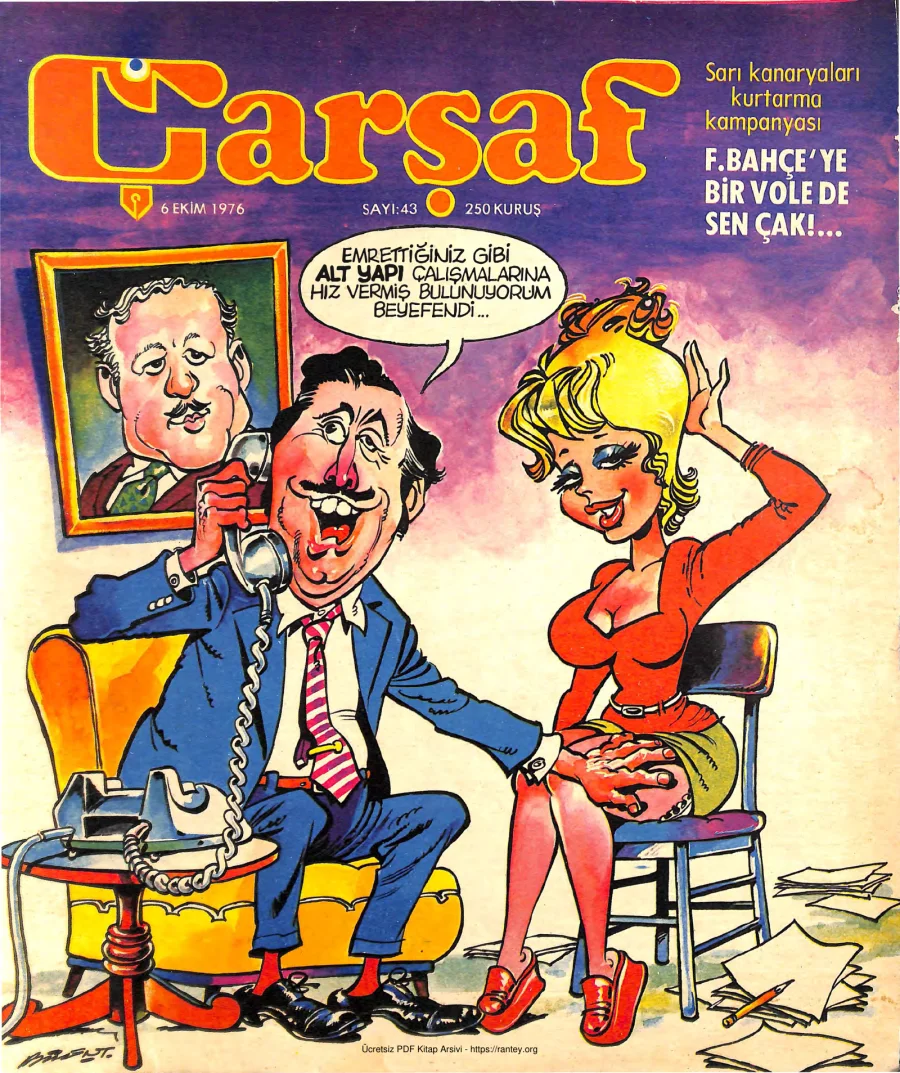 Çarşaf 1976 43 kapak görseli